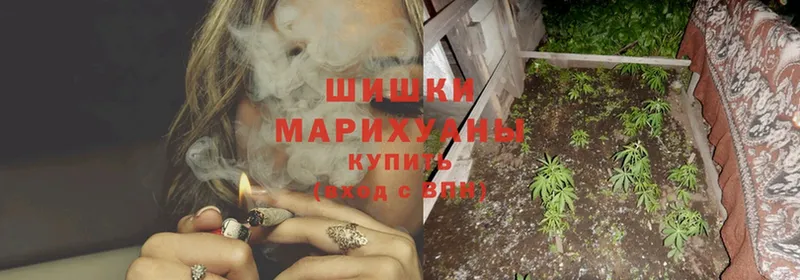 МЕГА   Зуевка  Шишки марихуана OG Kush 